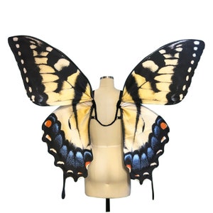 Large Swallowtail Butterfly Wings Costume, Butterfly Halloween Costume Eastern Tiger Swallowtail festival fashion image 1