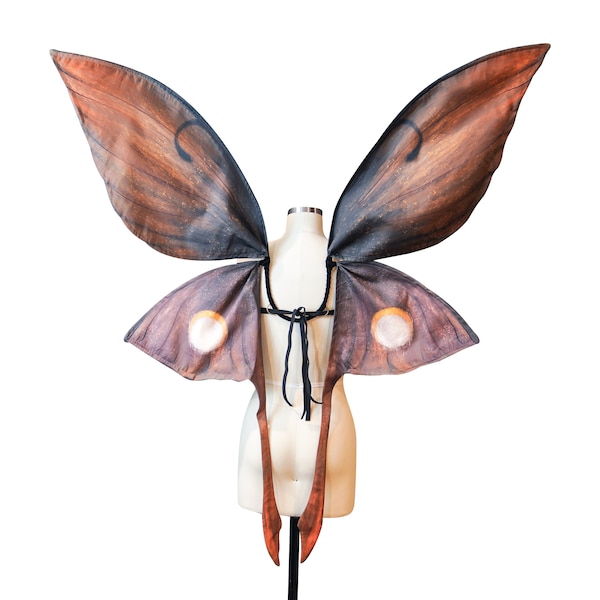 サンセットドラゴンによる、月の影をモチーフにした妖精の羽根の妖精コスチュームアート