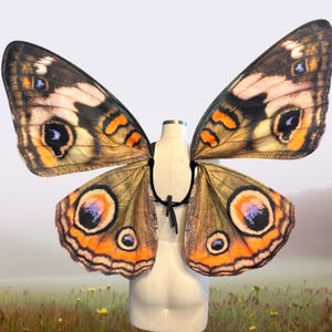 Large Buckeye Butterfly Costume Wings - Butterfly Halloween Costume