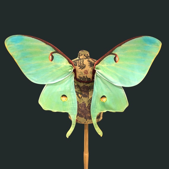 Moth costume sale