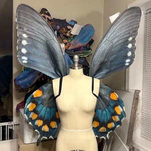 Large Pipevine Swallowtail Butterfly Wings Costume, Butterfly Halloween Costume