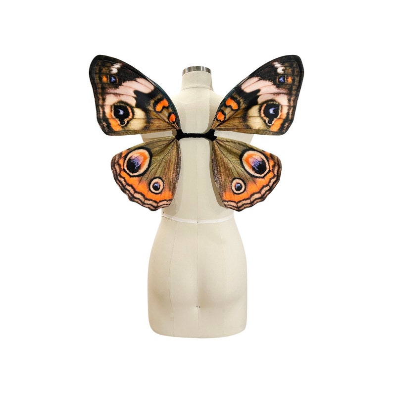 Small Buckeye Butterfly Costume Wings for Halloween image 1