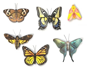 Collection of Butterfly and Moth Hair Barrettes or Brooches