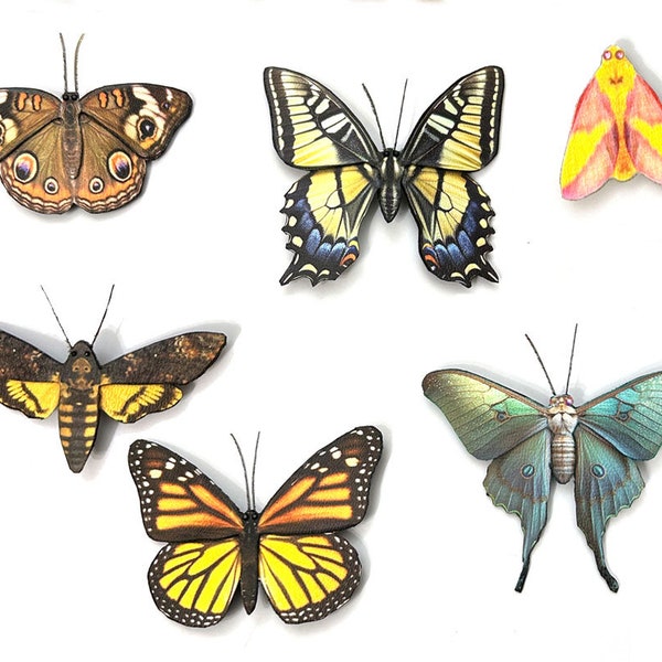 Collection of Butterfly and Moth Hair Barrettes or Brooches