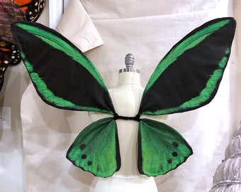 Green Birdwing Butterfly Costume Wings