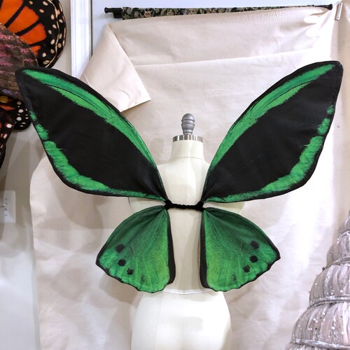 Ailes de costume de papillon vert aile d'oiseau