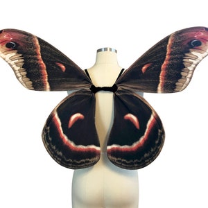 Brown Cecropia Moth Halloween Costume Wings for Women - Adult Fairy Wings medium size