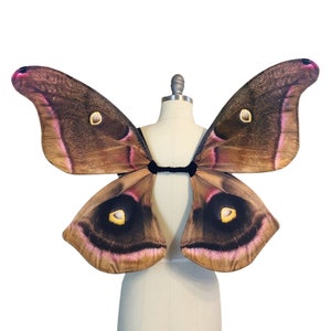 Moth Costume for Halloween Polyphemus Moth Fairy Wings Medium Size