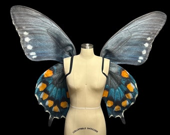 Large Pipevine Swallowtail Butterfly Wings Costume, Butterfly Halloween Costume