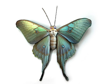 Luna Moth Hair Barrette Clip or Pin, Gifts for Her, Cottagecore Hair Accessories
