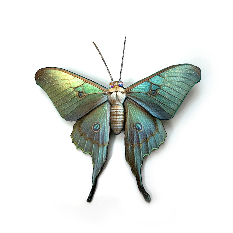 Hair Barrette Luna Moth - Etsy