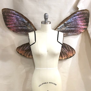 Moth Fairy Costume Wings Medium Size