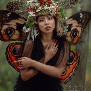 Alas de mariposa de Woodland Buckeye para disfraz: disfraz para festivales renacentistas.