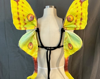 Small Comet Moth Costume Wings Convertible U-Back for Corset or with Elastic