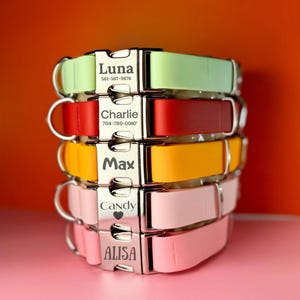 Biothane Dog Collar,Waterproof dog collar, Dog collar, Gold dog collar, Pet collar, Luxury Dog Collar, Dog collar, Custom dog collar