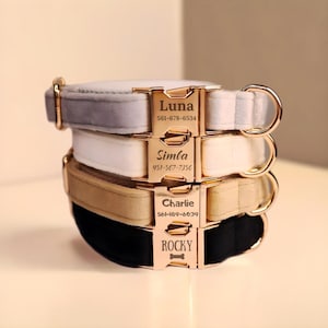 Puede incluir: Cuatro collares para perros apilados uno encima del otro. Los collares son de terciopelo y tienen hebillas de metal dorado con nombres y números de teléfono grabados. Los nombres son Luna, Simba, Charlie y Rocky.