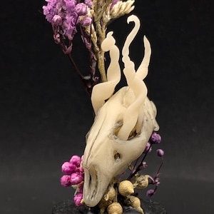 May include: A decorative sculpture featuring a small animal skull with curved horns, adorned with dried purple flowers and beige sprigs. The skull is mounted on a round, cork-like base with a black painted edge. The background is black.