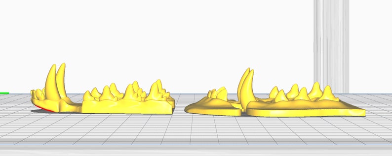 Realistic canine or fox teeth STL file for 3D printing image 5