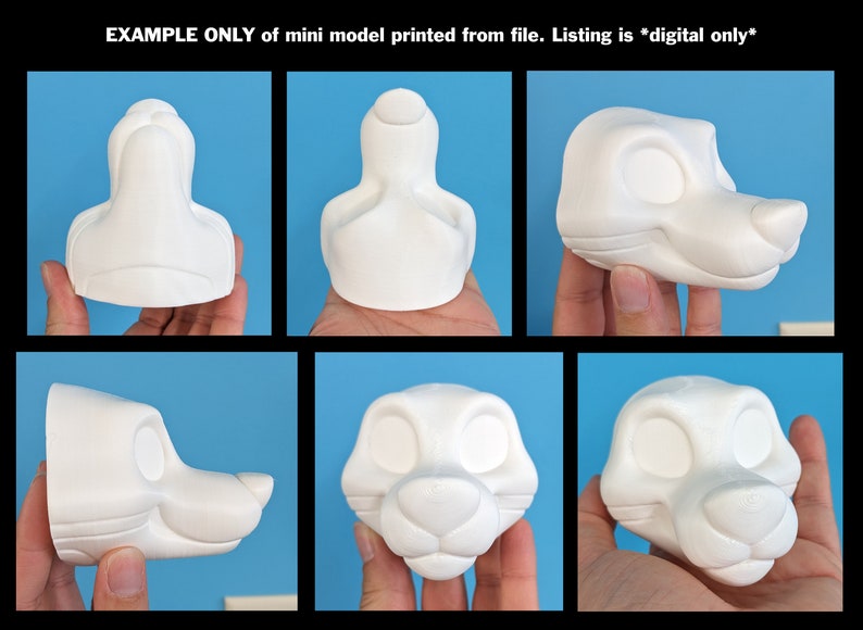Op de afbeelding: Een 3D-geprint model van een meerkattenkop, getoond vanuit verschillende hoeken. Het model is wit en ongeverfd, met details voor ogen, neus en mond.