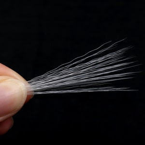 White Realistic Mascot Whiskers, 6'' Costume Sculpture Supplies (Pack of 50)