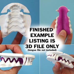 Realistic canine or fox teeth STL file for 3D printing image 7