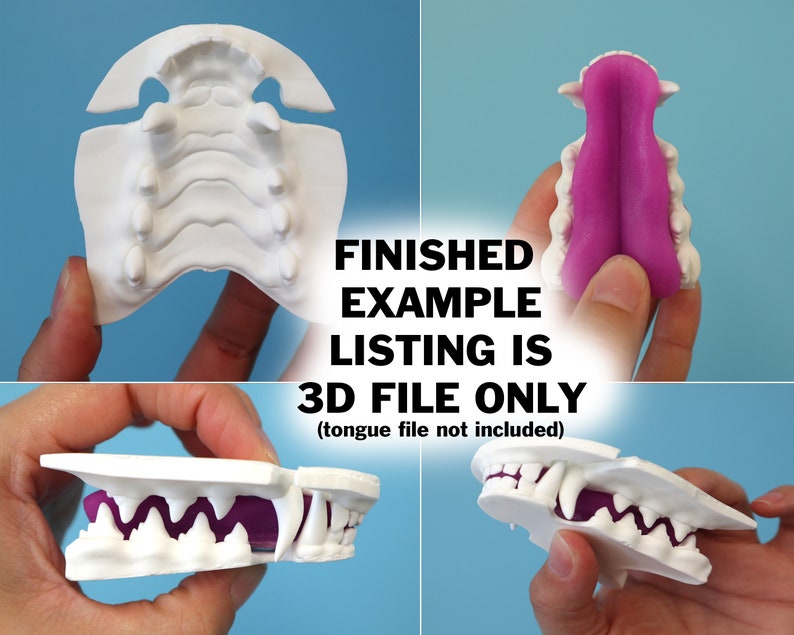 Realistic canine or fox teeth STL file for 3D printing image 7