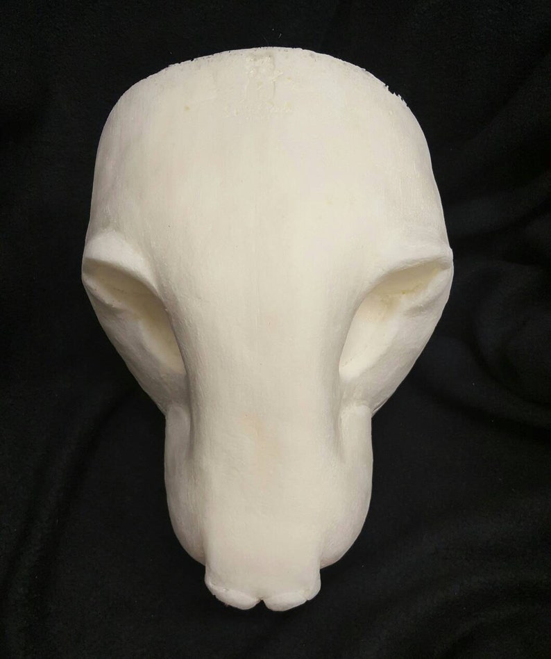 DIY expanding foam realistic rat mouse head mask base for Etsy