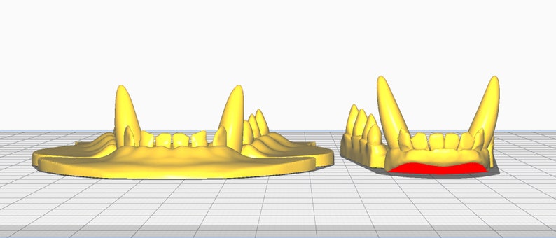 Realistic canine or fox teeth STL file for 3D printing image 3