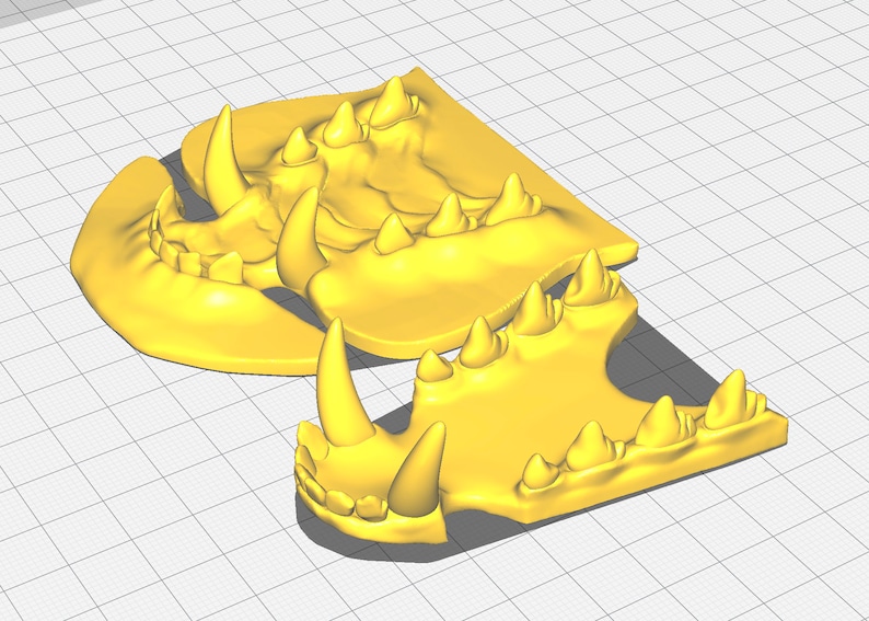 Realistic canine or fox teeth STL file for 3D printing image 4