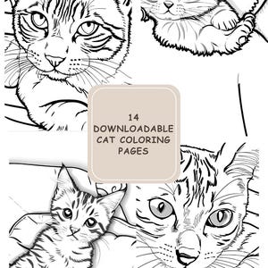 Cat and Kitten Coloring Pages Instant Digital Download - 14 Instant Download Colouring Pages