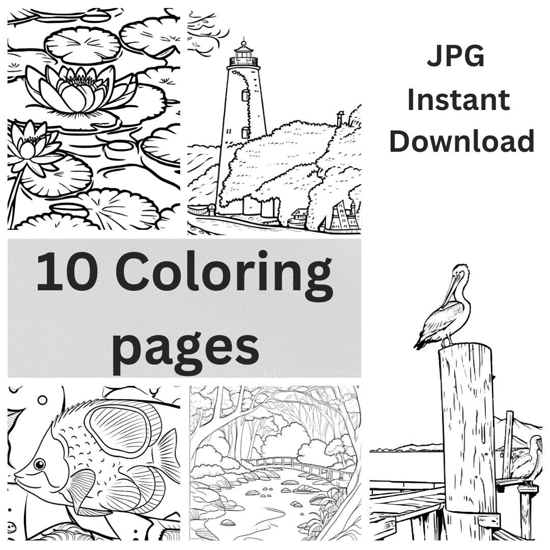 Adult water fun coloring pages instant digital download 8 instant