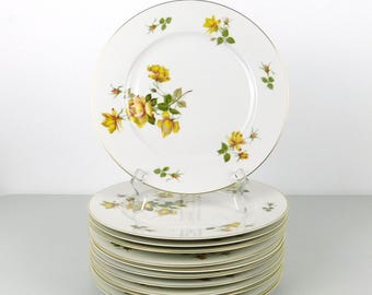 Set of 12 Rosenthal Germany Charlene (Aida) 10 1/2" Round Porcelain Dinner Plates