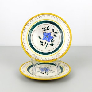 Può includere: Due piatti in ceramica con un motivo floreale. I piatti hanno un centro bianco con un fiore blu e foglie verdi. I bordi sono gialli con un bordo smerlato e un bordo verde e marrone. I piatti sono esposti su supporti trasparenti.