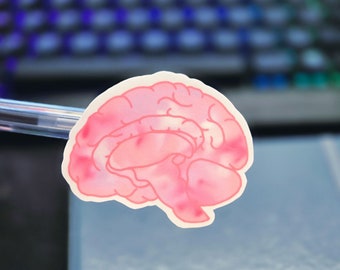 Watercolor Brain | Waterproof Vinyl Sticker