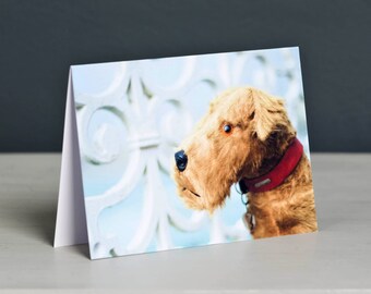 Spangles Vintage Terrier on Wheels Greeting Card, Free UK Postage