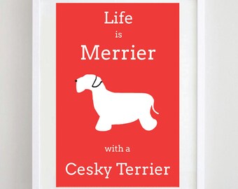Cesky Terrier Print - Dog Print - Dog Picture - Dog Art - Dog Breed Wall Decor