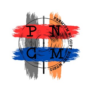 Può includere: Un'immagine stilizzata di un disco in vinile con le lettere "PNC" e "CM" in nero su uno sfondo rosso, bianco e blu. Il testo "PREMIUM NO COPY RIGHT MUSIC DISC" è scritto in un cerchio attorno al disco.