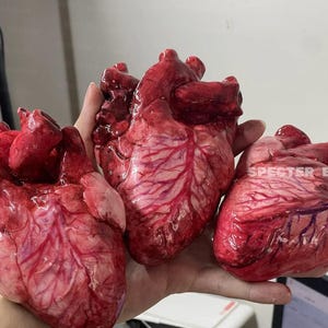 Life Size Human Heart,Handmade Heart,Realistic Heartc,Bloody Heart