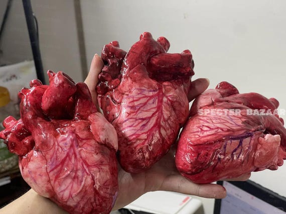 Life Size Human Heart,Handmade Heart,Realistic Heartc,Bloody Heart