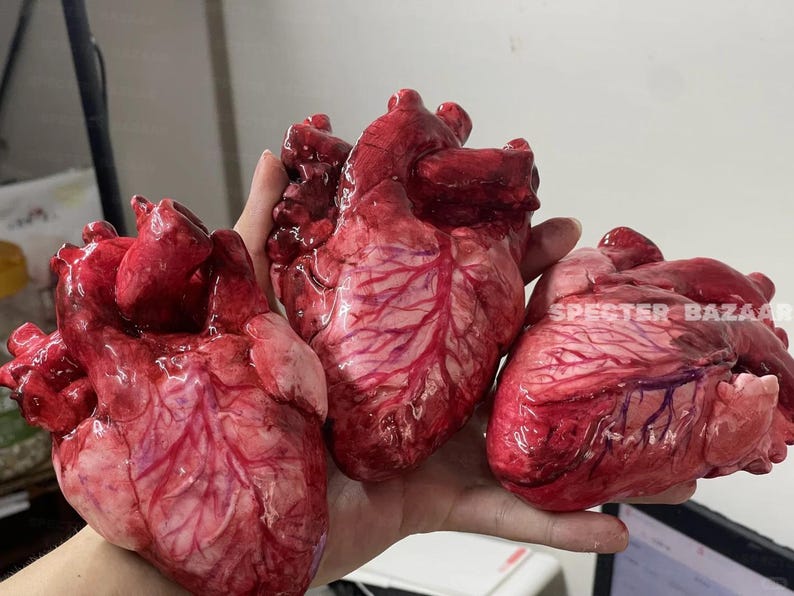 May include: Three realistic anatomical heart models featuring deep red and pink muscular tissue with detailed blue and purple vein patterns. The surface has a glossy, wet-look finish. The text SPECTER BAZAAR is printed in white on the right heart.