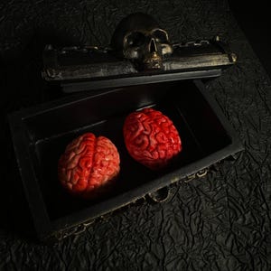 Handcrafted Realistic Human Brains, Brain Decorations, Weird collectibles