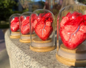 Handcrafted Realistic Human Heart Decoration for Halloween, Perfect for Desk Ornaments, Ideal Gift for Loved Ones