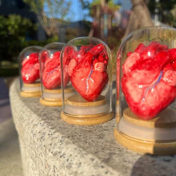 Handcrafted Realistic Human Heart Decoration for Halloween