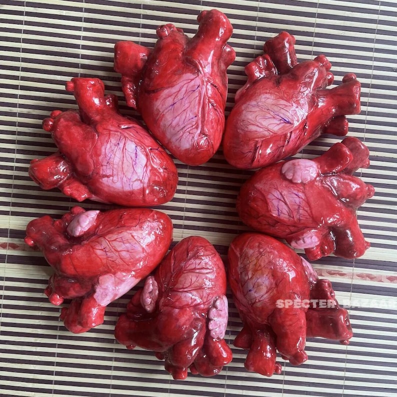 May include: Seven anatomical heart models arranged in a circular pattern. Each heart is a glossy, deep red color with visible blue-toned vein details and lighter pinkish tissue sections. The text SPECTER BAZAAR is printed in white on the bottom right.