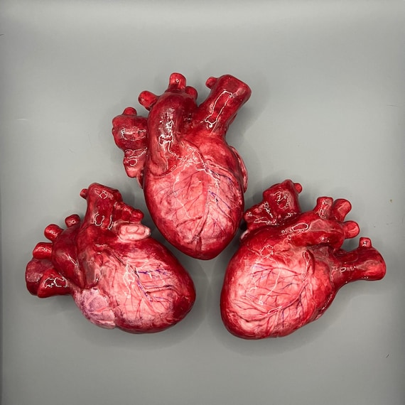 等身大の人間の心臓 - ホラー美学 - ハロウィーンの小道具 - お化け