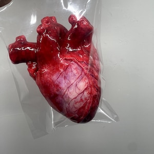 May include: A realistic anatomical heart model featuring deep red and purple tones with visible blue vein details, encased in a clear, sealed plastic bag. The surface of the heart displays a glossy, textured finish with intricate vascular patterns.