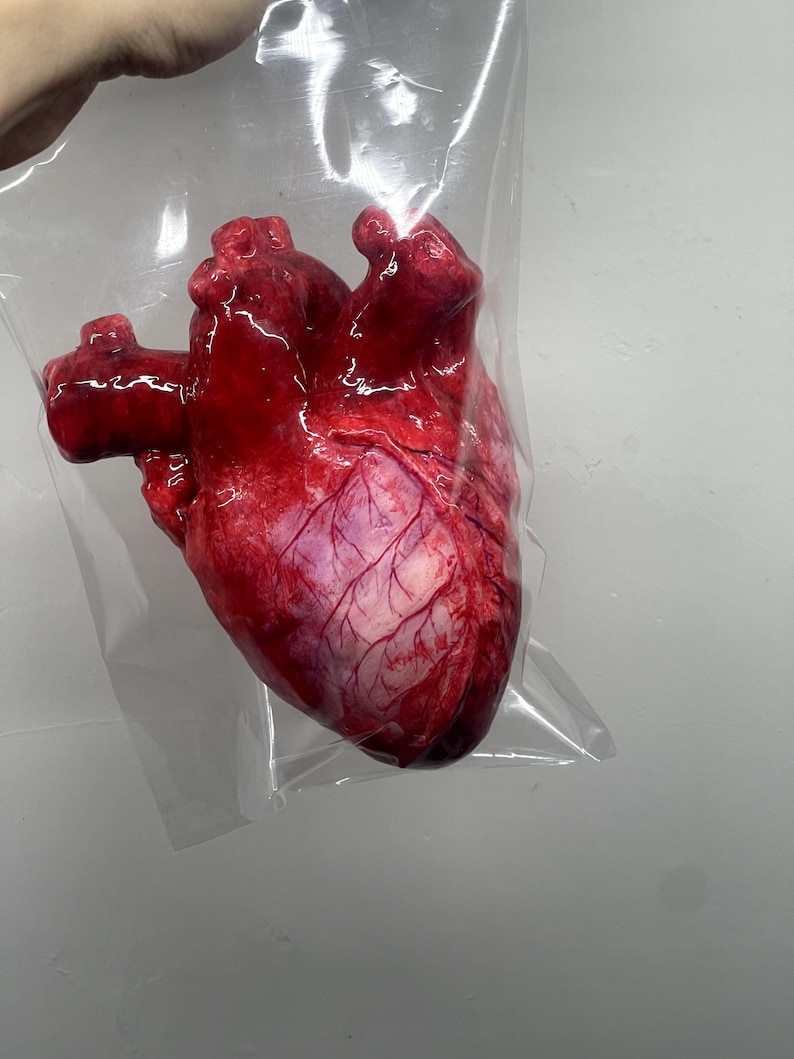 May include: A realistic anatomical heart model featuring deep red and purple tones with visible blue vein details, encased in a clear, sealed plastic bag. The surface of the heart displays a glossy, textured finish with intricate vascular patterns.