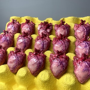May include: A collection of fourteen small, anatomically detailed heart sculptures arranged in a yellow molded pulp egg carton. Each heart features a glossy, realistic finish with shades of deep red, purple, and pale pink, highlighting veins.