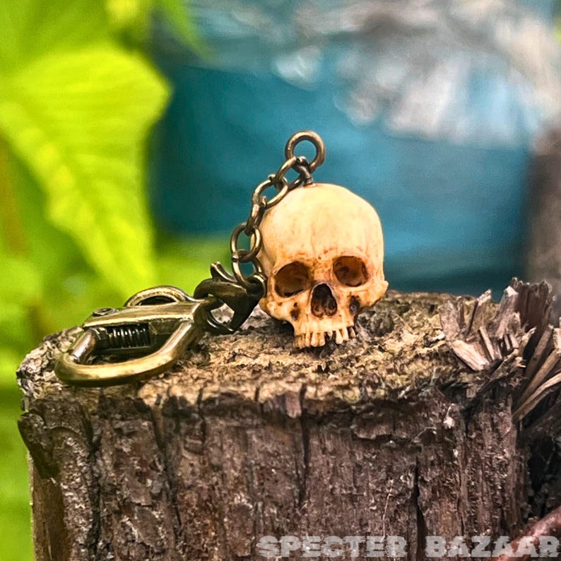 May include: A detailed, white skull keychain with a bronze chain and clasp. The skull is a realistic depiction with visible teeth and eye sockets.