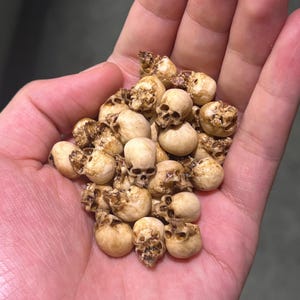 Met de hand beschilderde 3D-geprinte harsschedels - perfect voor Halloween-uitnodigingen en spannende scène-instellingen